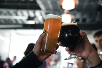 Los beneficios que no conocías de la cerveza