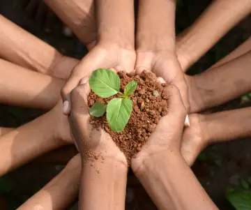 Día Mundial del Medio Ambiente