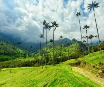 Eje Cafetero: Uno de los mejores destinos en Colombia