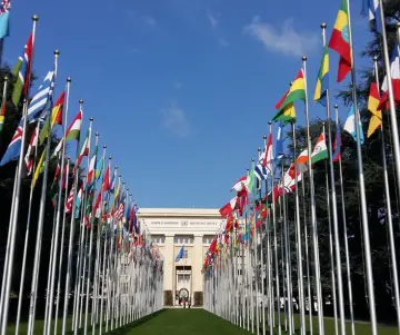 Día de las Naciones Unidas - Colombia