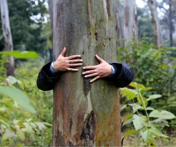 Día Latinoamericano del Ambientalista - Colombia