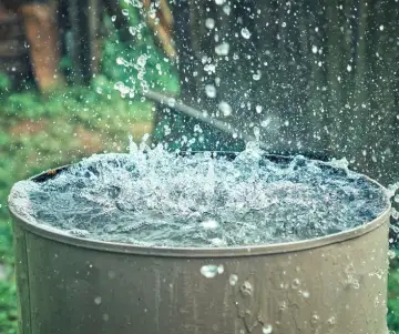 How to make the most of rainwater 