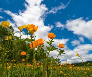 Inicio de la primavera en Perú