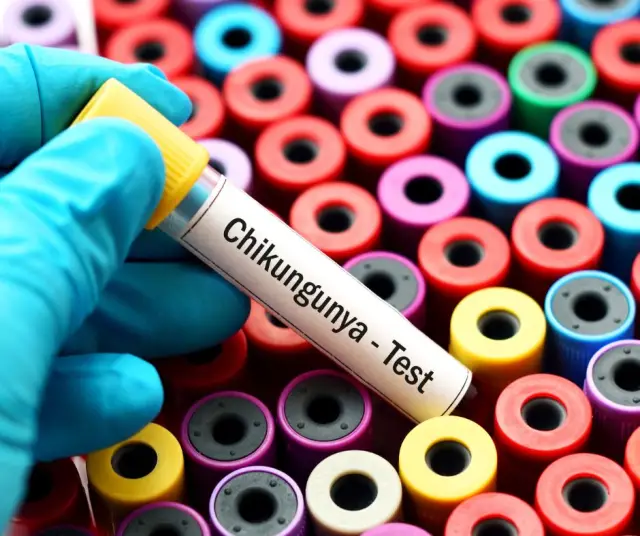 What is chikungunya? 