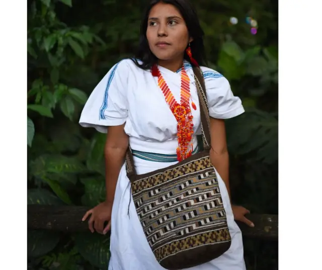 Indigenous ethnic groups of Colombia 