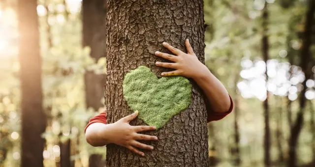Día Mundial del Árbol en Colombia 2025